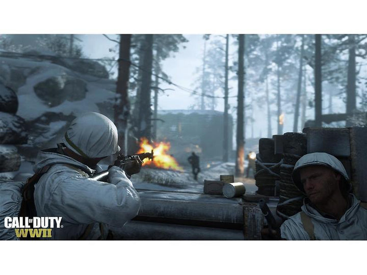 Call of Duty: WWII (PS4) (Fyndvara)
