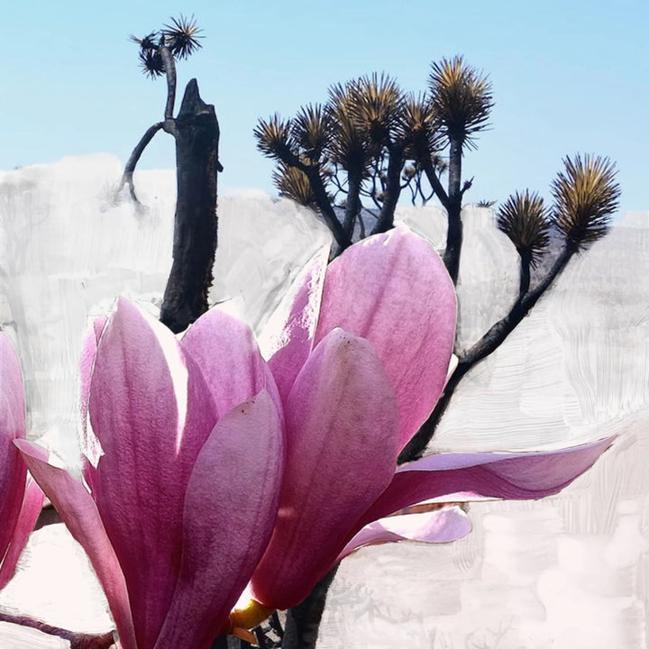 BYREDO  Mojave Ghost EdP 50 ml