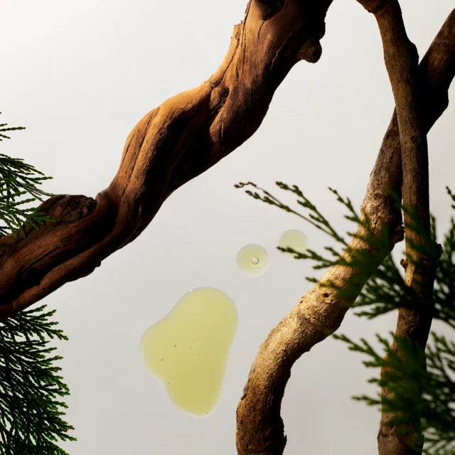 Rituals Homme Car Perfume 2 x 3g