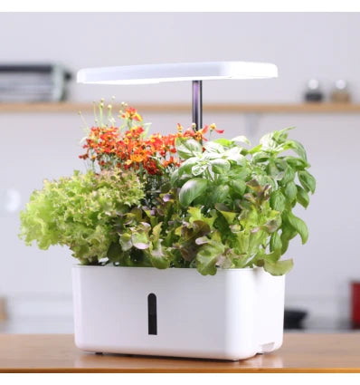 Hydroponisk inomhusträdgård - smart trädgård LEDlife