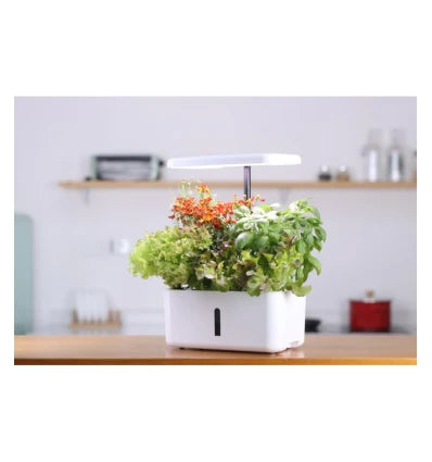 Hydroponisk inomhusträdgård - smart trädgård LEDlife