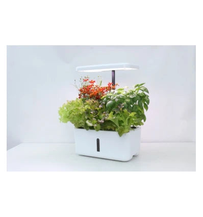 Hydroponisk inomhusträdgård - smart trädgård LEDlife